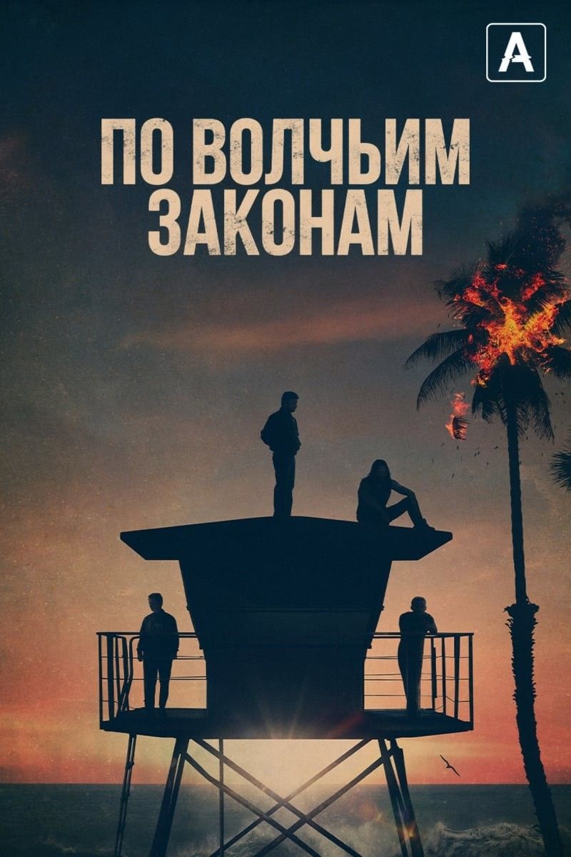 За законами вовків (2016)